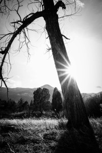 Garden of the Gods, Colorado Springs, Colorado